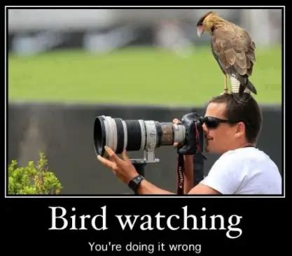 dating sites for birdwatchers